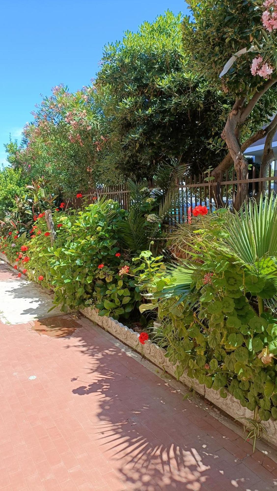 Fco Airport - A Casa Di Gisa Apartman Fiumicino Kültér fotó